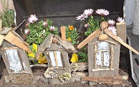 Ferienwohnung Rosengarten